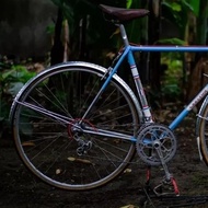 ZECCA HAMMERED FENDER MUD GUARD SNAKE SKIN 700C 20 INCH BIKE-veestore01