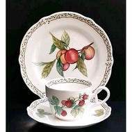 Noritake Royal Orchard 9416 Primachina Cup Set & Dinnerware Sold Separately