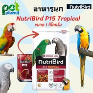 [1kg.] อาหารนก Versele Laga Nutribird P15  อาหารนกแก้ว นกแก้วแอฟริกันเกรย์ นกแก้วมาคอร์ นกกระตั้ว อา