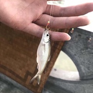 7-hook ditch cage and 15 green ditch fishing line hooks with iron tubs, ditch fishing hooks with sha