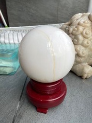 金絲硨磲球L26【大】