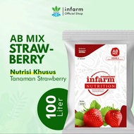 Ab Mix Strawberry Nutrisi Hidroponik