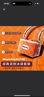Kyubi x Haagen-Dazs Anson Kong AK 江爗生 保溫袋,露營，野餐，沙灘用