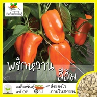 เมล็ดพันธุ์ พริกหวาน สีส้ม 20 เมล็ด Orange Sun Pepper เมล็ดพันธุ์แท้ นำเข้าจากต่างประเทศ ปลูกผัก สวนครัว ปลูกง่าย โตไว