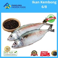 [Best Selling] IKAN KEMBONG SIZE 6/8 - 8/10 BY NOS