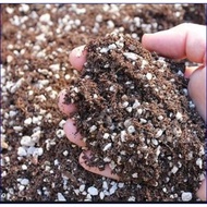 Premium Black Soil with Perlite Mix (1000g)