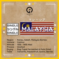 【NOGITA COFFEE】SINGLE / Washed process - マレーシア / ウォッシュトプロセス~ Grind Size Confirmed via Chat After Ord