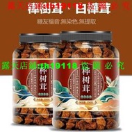 樺樹茸俄羅斯原裝白樺茸黑金樺褐孔菌500克樺樹淚泡茶樺樹茸野生樺褐孔菌白樺茸樺樹淚天然素非俄羅斯進口胰島