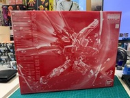 MG 1/100 Gundam Astray Red Flame Flight Unit