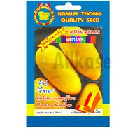 Thai Melon Seeds Golden Variety Gold Bracelet Brand