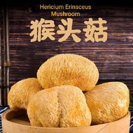 Lion's Mane Mushroom 【猴头菇】100g Hericium Erinsceus Mushroom