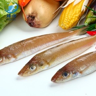 Fujian Dongshan Fresh Salad Barracuda Fresh Sand Fish Sea Products Fresh Seafood Sardines Fisherman 