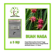 5 Dragon Fruit Seeds, Superior Quality Dragon Fruit Seeds