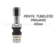Long Iron Tubeless Valve / Long Tubeless Valve