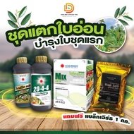 #ชุดแตกใบอ่อน #ดวงตะวันเพชร บำรุงใบชุดเเรก เร่งการแตกยอด ( Mix-edta+โปรซีวีดพลัส+20-4-4+แถม แบล็กเอิ