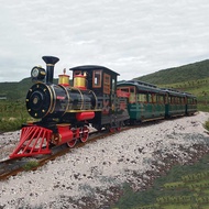 Large Train Model Large Retro Steam Train Model Large Free Steam Train Model