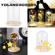 YOLA Glass cloche Plants Home Decor Terrarium Transparent Bottle Jar Wooden base