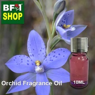 Orchid Fragrance Oil - Sun orchid Azure Thelymitra azure