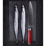 67 Layers Damascus Chef Knife 9Cr18MoV Steel G10