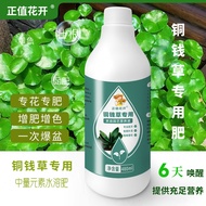 Copper Coin Grass Universal Fertilizer Nutrient Liquid Household Flower Culture Fertilizer Potted So