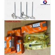 Valve set for Yanmar TS50 TS60 TS70 TS80 TS105 Kubota RK105 RK125 ER2500 Vikyno RV145 RV165 EV2400 E