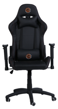 Black Panther เก้าอี้เล่นเกม Neolution E-sport Gaming Chair สีดำ Black Panther