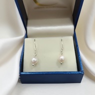 Akoya Saltwater Pearl Earrings (BNT0150) - MOON Jewelry