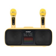 SDRD SD318 雙人對唱麥克風音箱 - 金色 | EQ/變聲效果 | 雙15W喇叭輸出 | 一鍵消音 | 唱K神器