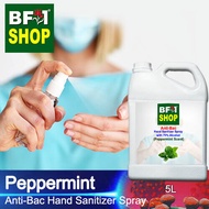 Anti Bacterial Hand Sanitizer Spray with 75% Alcohol - mint - Peppermint Anti Bacterial Hand Sanitizer Spray - 5L