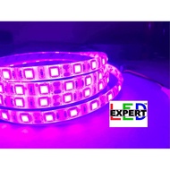 Pink &amp; yellow Smd5050 Led strip lights 5mts OUTDOOR for ceiling cove lighting and interior lighting