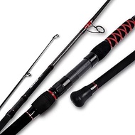 Fiblink Surf Spinning Fishing Rod 2-Piece/3-Piece Carbon Fiber Travel Fishing Rod (9-Feet / 11-Feet 