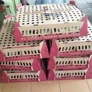 Doc Anakan Ayam Kampung Joper Double Vaksin 1 Box 100 Ekor New Stok