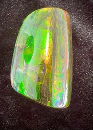 加拿大🇨🇦斑彩螺邊螺石