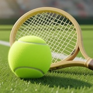 Championship DTBATP Tennis Balls, 3-Pack, 3 Balls per Can