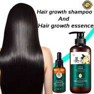 Shampoo Hair Growth Shampoo Hair Loss Shampoo Ginger Shampoo+Hair Growth Essence Oil