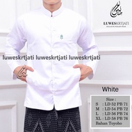 BAJU KOKO LUWES SEMI JAS BORDIR TEROMPAH luwes terlaris di tahun ini
