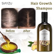 SIAYZU Ginger Shampoo Hair Growth Shampoo Anti Hair Loss Nourish Oil Control Anti-Dandruff Repair Shampoo Hair Treatments Hair Grower for Men Original shampoo ng kabayo pampahaba ng buhok Hair Grower for Women Effective(400ml)