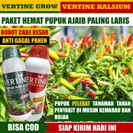 (1Paket 2 Botol) OBAT PELEBAT CABAI LEBIH BANYAK & BESAR di Musim Hujan dan Kemarau - 1 Vertine Kals