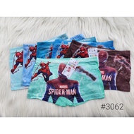 Boy's underwear | Character boxer briefs