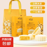 京喜加【月饼礼盒】猫山王榴莲冰皮月饼 头号美 中秋礼盒送礼 榴莲冰皮月饼【2盒480g】配礼袋