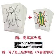 Hand-Drawn Insect Coloring Book Childrens DIY Art Drawing Book Markers Line Art Paper Painting Color