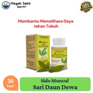 MGS - Sido Muncul Herbal Sari Dewa'sdaun 30 Capsules - Cancer Cell Treatment for Tumors & Cancer
