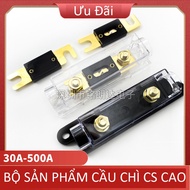 Fuse 30A 80A 120A 200A 500A Electric vehicle fuse
