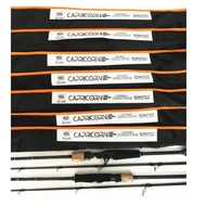 SANTEC CAPRICORN SPINNING / CASTING / UL BASS FISHING ROD