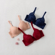 Felancy Lace Bra L03-01029
