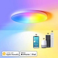 智能吸頂燈 Apple HomeKit