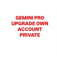GEMINI PRO upgrade own account