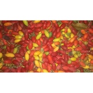 Buah Cokok/ Belinjau