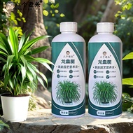 Home Life Dragon's Blood Tree Special Nutrient Solution Indoor Potted Fertilizer Flower Plant Univer