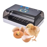 20 Egg Incubator Penetas Telur Reptil Burung Parrot BD Unggas HHD20A